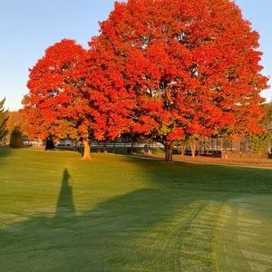 Meet your Posher, Raymundo a